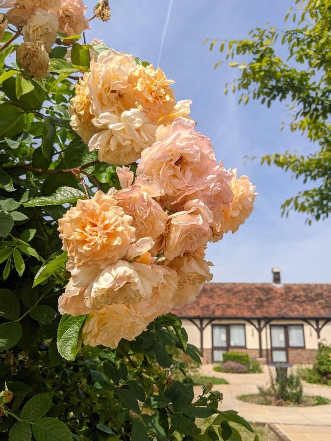 Kingfisher Barn B&B Abingdon-on-Thames Exterior photo